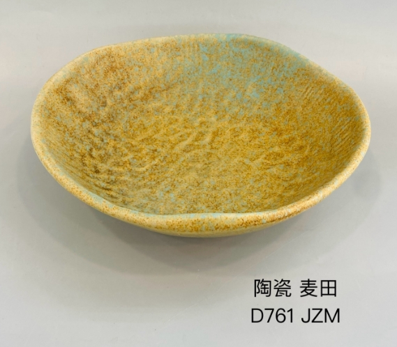D761 9.5