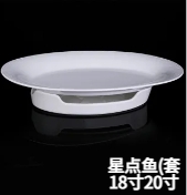 星点鱼（套）JX