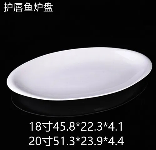 护唇鱼盘 JX