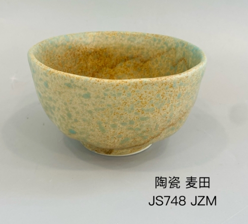 JS748 4.5